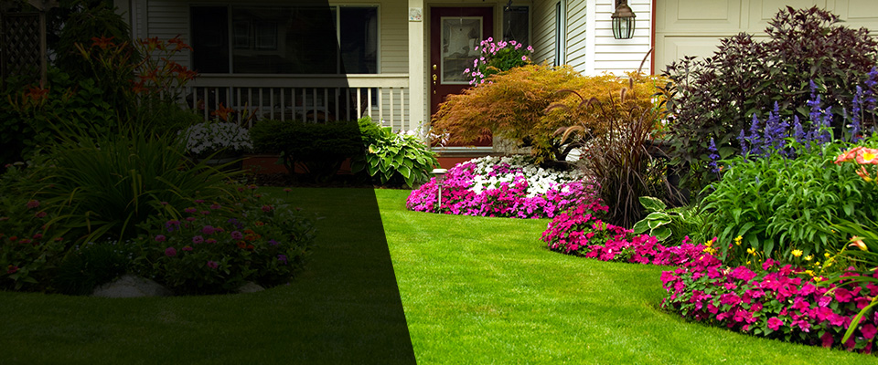 Lena Landscapers