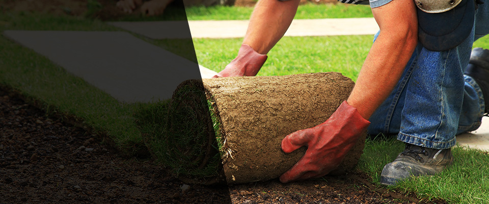 Lena Landscapers
